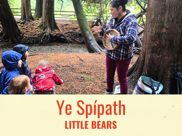 Little Bears Program